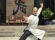 The Tigers of Guangdong
