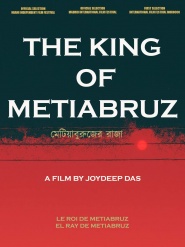 The King of Metiabruz