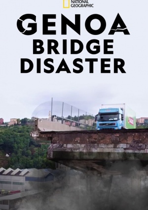Il Ponte di Genova Cronologia di un Disastro