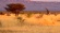 Namibia, Sanctuary of Giants