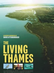 The Living Thames