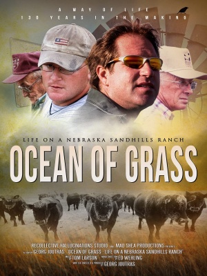 Ocean of Grass: Life on a Nebraska Sandhills Ranch