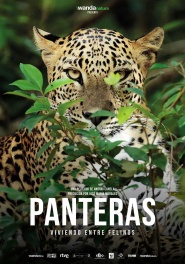 Panteras: Viviendo entre felinos