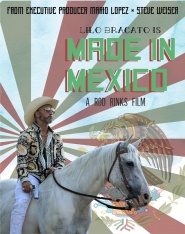 Made in Mexico