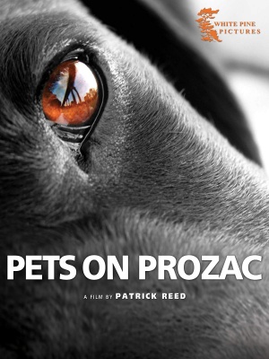 Pet Pharm