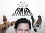 The Dog Stalker
