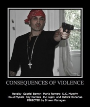 Consequences of Violence