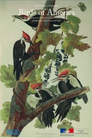 Birds of America
