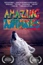 Amazing Animals