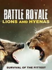 Battle Royale: Lions and Hyenas