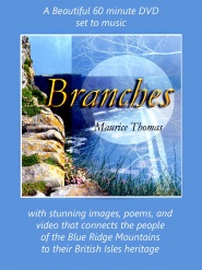 The Branches