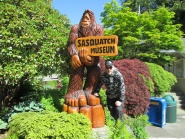 Foot Finding Feats Bigfoot Found or Fraud