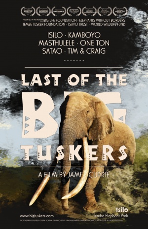 Last of the Big Tuskers