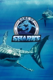 Game of Sharks