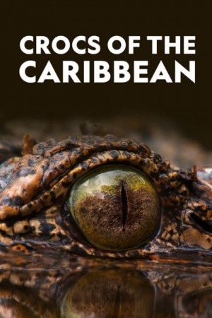 Life and Death in Paradise: Crocs of the Caribbean