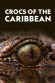 Life and Death in Paradise: Crocs of the Caribbean