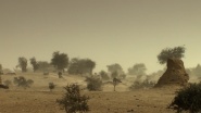 Sahara Prison