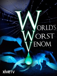 World's Worst Venom