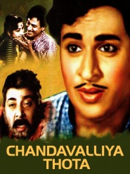 Chandavalliya Tota