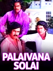 Palaivana Solai