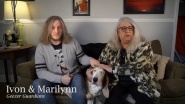 Old Friends: A Dogumentary