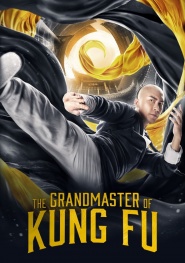 The Grandmaster of Kungfu