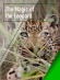The Magic of the Leopard