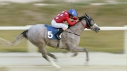 Smiling Jockey