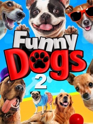 Funny Dogs 2
