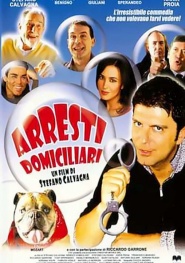 Arresti domiciliari