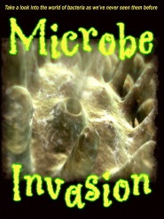 Microbe Invasion