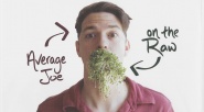 Average Joe on the Raw