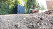 The Garden Oasis