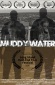 Muddy Water