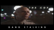 Gang Stalking