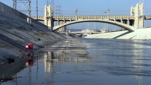 Life Under the Bridge