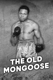 The Old Mongoose