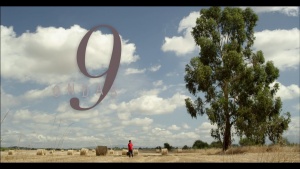 9 ondas