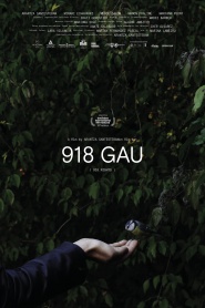 918 Nights