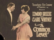 A Common Level