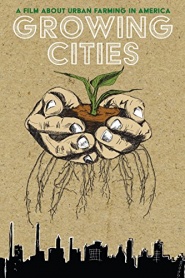 Growing Cities