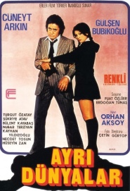 Ayri dünyalar