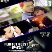 A Perfect Guest PG