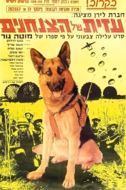 Azit the Paratrooper Dog