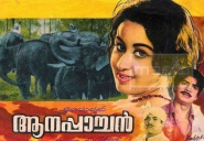 Aana Paachan