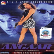 Angaar: The Fire