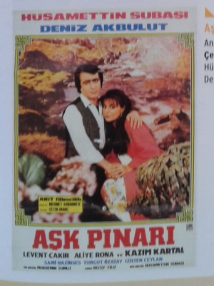 Ask Pinari
