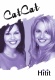 CatCat: Hitit