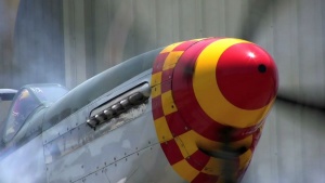 Living Warbirds: Steel Warriors