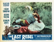 The Last Rebel